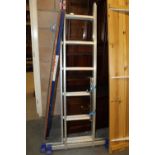 Platform ladders