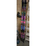 Blizzard Quattro Skis