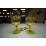 Pair of etched & coloured wine glasses