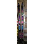 Blizzard Quattro Skis