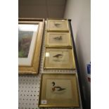 4 PJR Bird Pictures