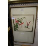Watercolour of Oriental style - Hummingbird, seal style monogram, framed