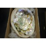 One Abalone Shell