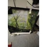 Home Decor Print - Trees