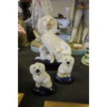 Staffordshire poodle group