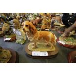 BFA King Charles Spaniel 061