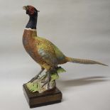 Large Royal Worcester figure of a Cock Pheasant, circa 1970, modelled by Ronald Van Ruyckvelt, No.