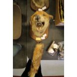 Taxidermy Fox Mask and Brush