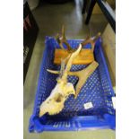 Unframed Deer Antlers and Skull