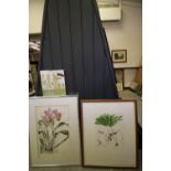 2 Elizabeth Blackadder Limited Edition Framed Prints and a Book of Her Works