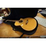 Electro acoustic guitar and case