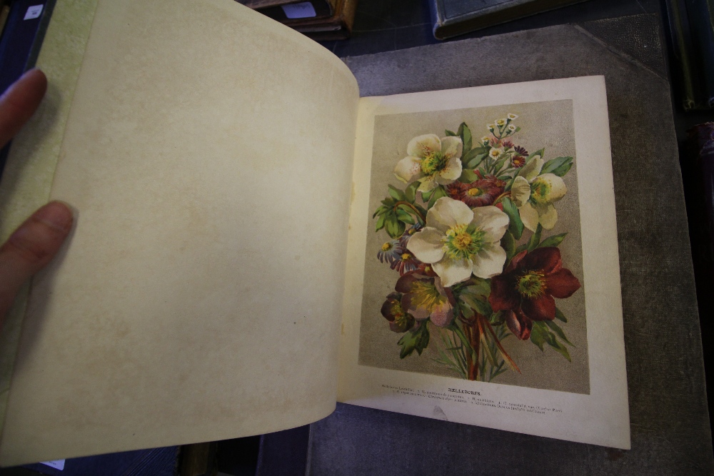 c1890 The Flower Growers Guide DIVI and 2 by John Wright - Image 3 of 8