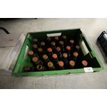Quantity of Andy Cap beer shampoo bottles