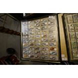 Framed full collection Cigarette Cards - Fish