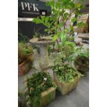 2 Square Stone Planters