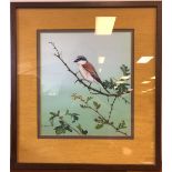 Alan M. Hunt (b.1947) - Acrylic - Red-Backed Shrike, 32cm x 27cm, signed, framed