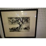 Bernard Eyre Walker - etching 'Rydal Water The Oak Tree'