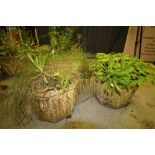 2 Octagonal Stone Planters