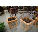 2 Square Terracotta Stone Planters