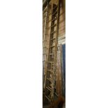 Set of wooden extension ladders