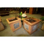 2 Square Terracotta Planters