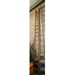 Wooden ladder and wooden step ladder