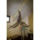 Hunting Lodge/Antler Chandelier Light Fitting