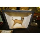 Victorian Taxidermy Chihuahua/miniature Dog-cased