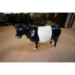 Beswick belted Galloway cow