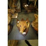 Taxidermy fox mask on mahogany shield