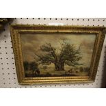 Small 19th century oil on canvas, cattle grazing - unsigned