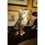 Taxidermy House Cat