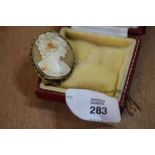 Shell cameo brooch, surround marked 9ct