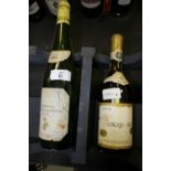 50cl Bottle Tokaji Aszu 1982 & 75cl Bottle Marques de Riscal Rueda 1988