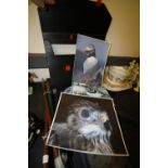 Portfolio Case with Quantity of Bird Photographs