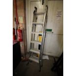 Metal Step Ladders x 2
