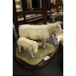 Border Fine Arts Charolais Cow & Calf 710/750