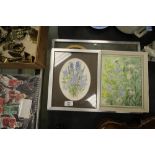 5 Original Monica Barry Watercolours