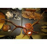 Pair of Mounted Antlers