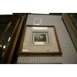 Print of coloured engraving of a kangaroo, after George Stubbs c1790, framed and mounted and