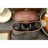 Pair of Wray Binoculars, Cased