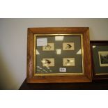 Framed fishing flies