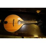 Shbury mandolin