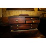 19th Century collector's chest