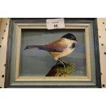 Deirdre Grierson - oil painting, march tit