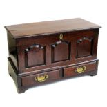 George III Welsh coffer bach, the miniature chest with rectangular detachable lid