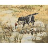 Henry Wilkinson R.E., A.R.C.A. (1921-2011), Black labrador retrieving a duck, signed, oil on canvas,