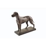 A large cast bronze of a Great Dane. 32 x 30 cm. For condition reports go to www.peterwilson.co.uk