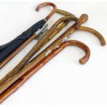 "Gamebird" shooting stick, umbrella and five walking sticks. Condition reports are not available for