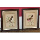 Pair of Victorian feather pictures of birds 'Primavera' and Triguero' Condition reports are not